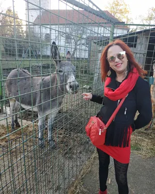 Sonia, 43 ans, cougar à Tassin-la-Demi-Lune